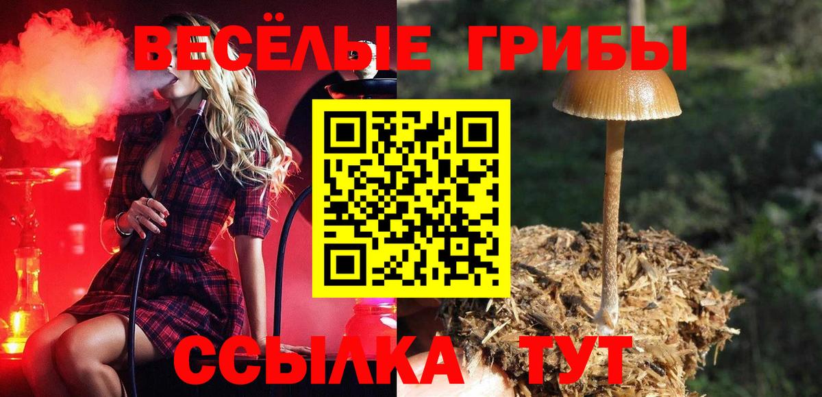 Псилоцибиновые грибы мицелий Пенза