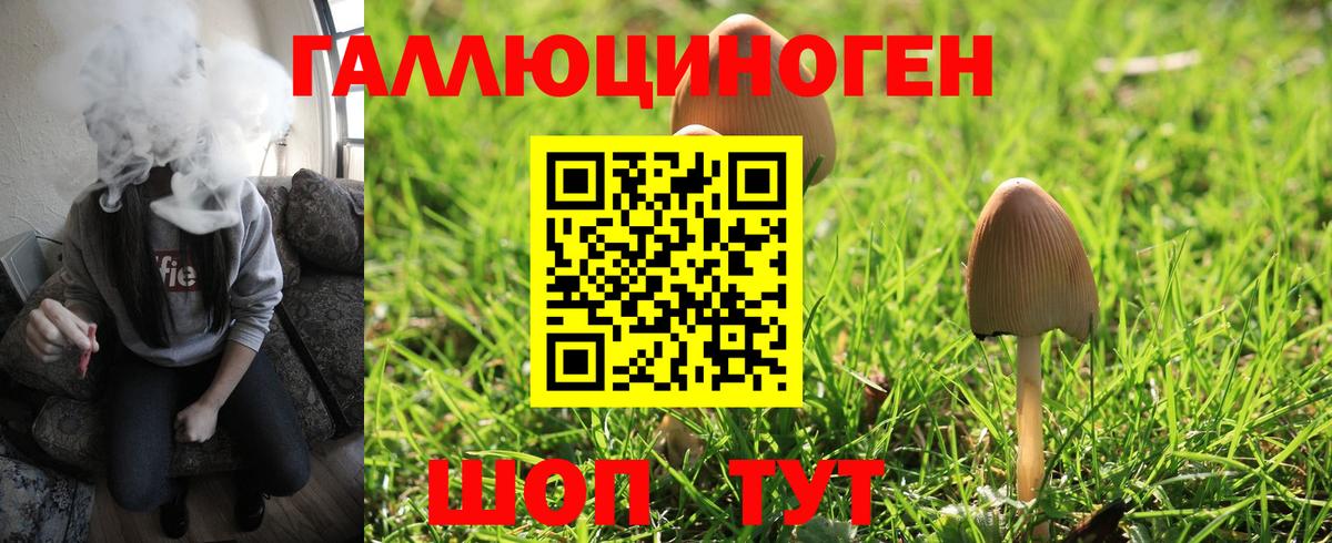 Галлюциногенные грибы ЛСД  Галлюциногенные грибы мухоморы  Пенза  Вход с VPN 