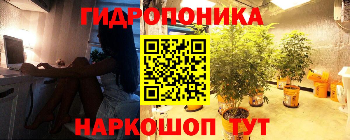 Конопля индика Пенза